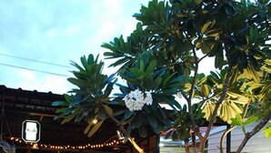 An outdoor seating area with wooden furniture, a small table, and a tree with white flowers. - Chatchanan Resort (Mae Sot)