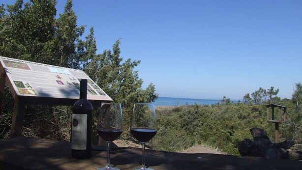 En vinflaska och två glas på ett bord, med en skylt om vilda orkidéer i bakgrunden.