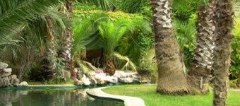 Hotel Las Navas