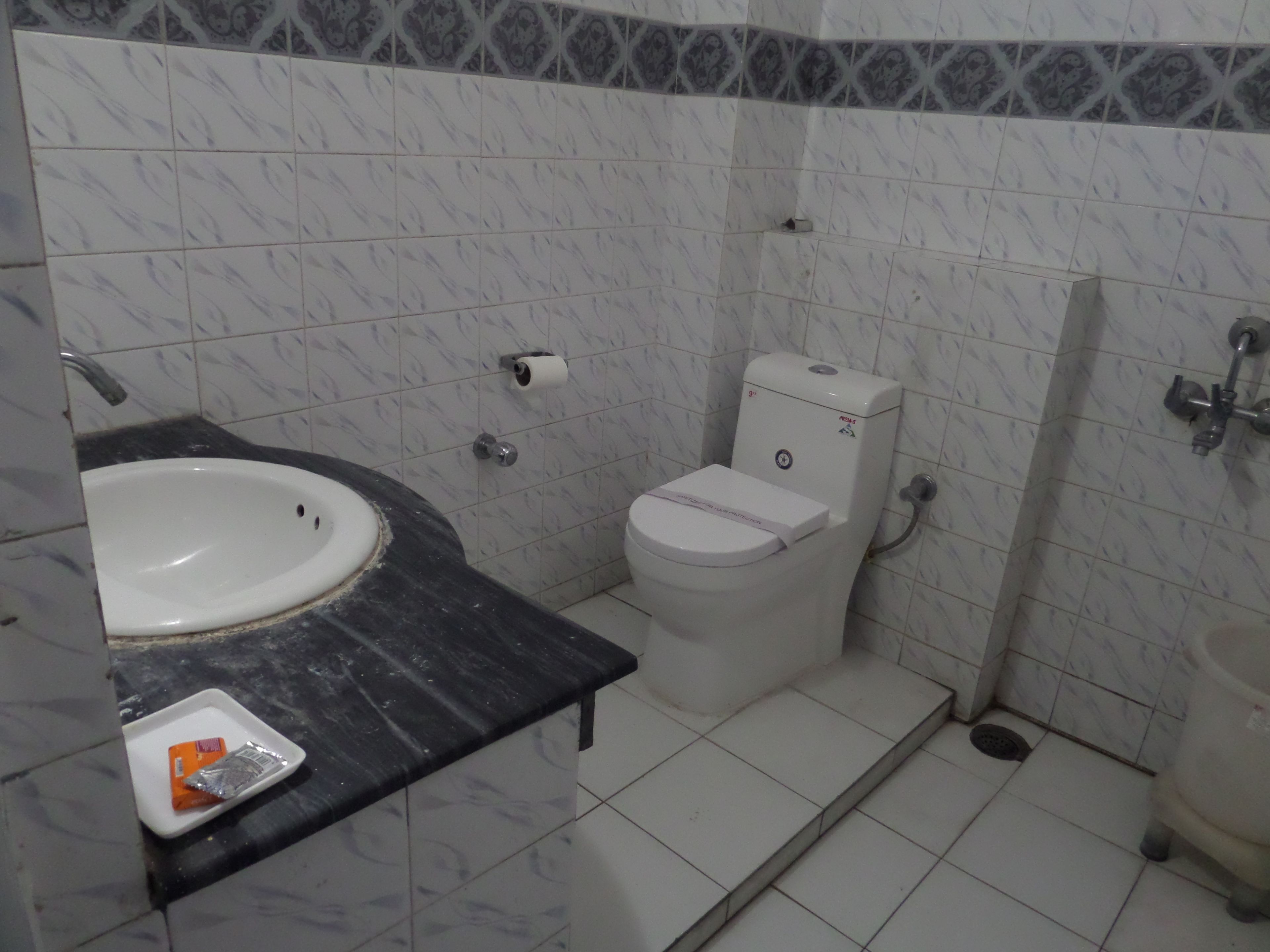 A bathroom with a white toilet, a sink, and a shower.