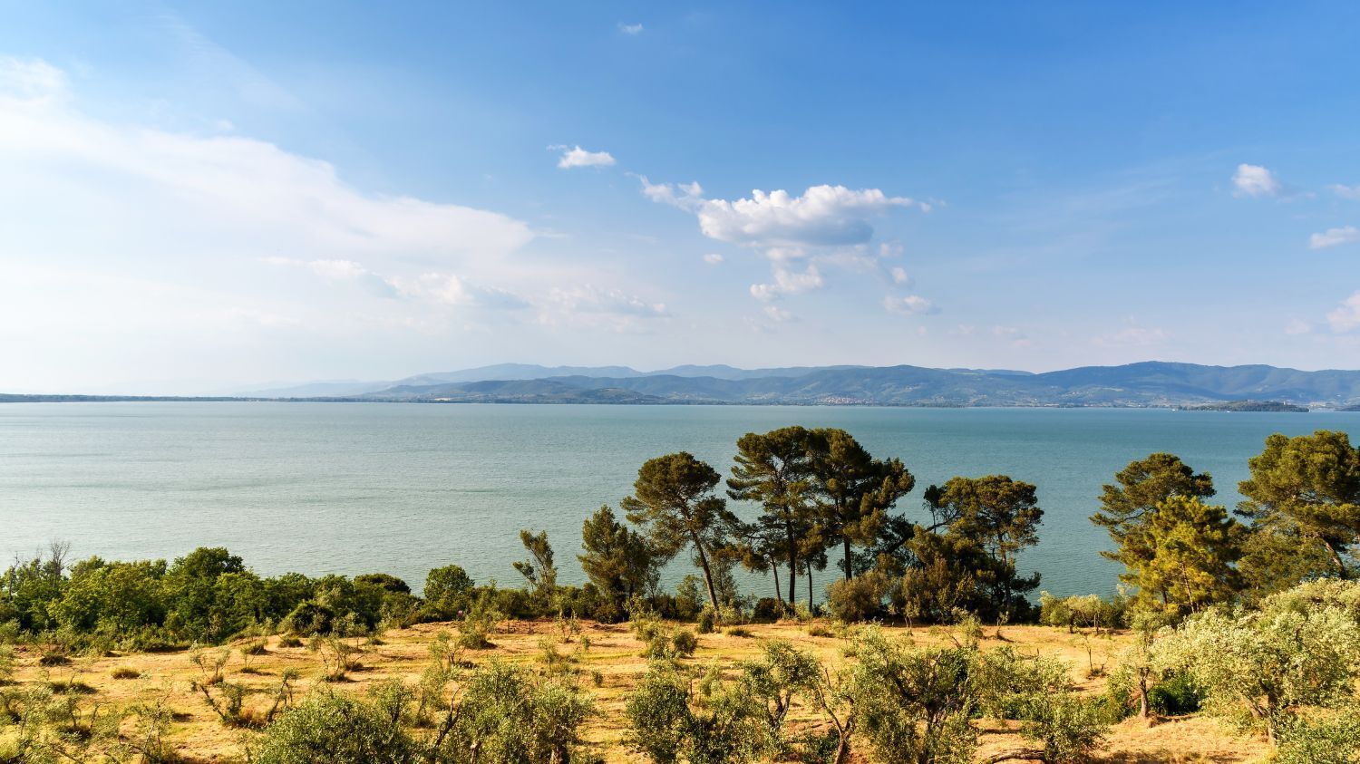 Una spiaggia nelle vicinanze