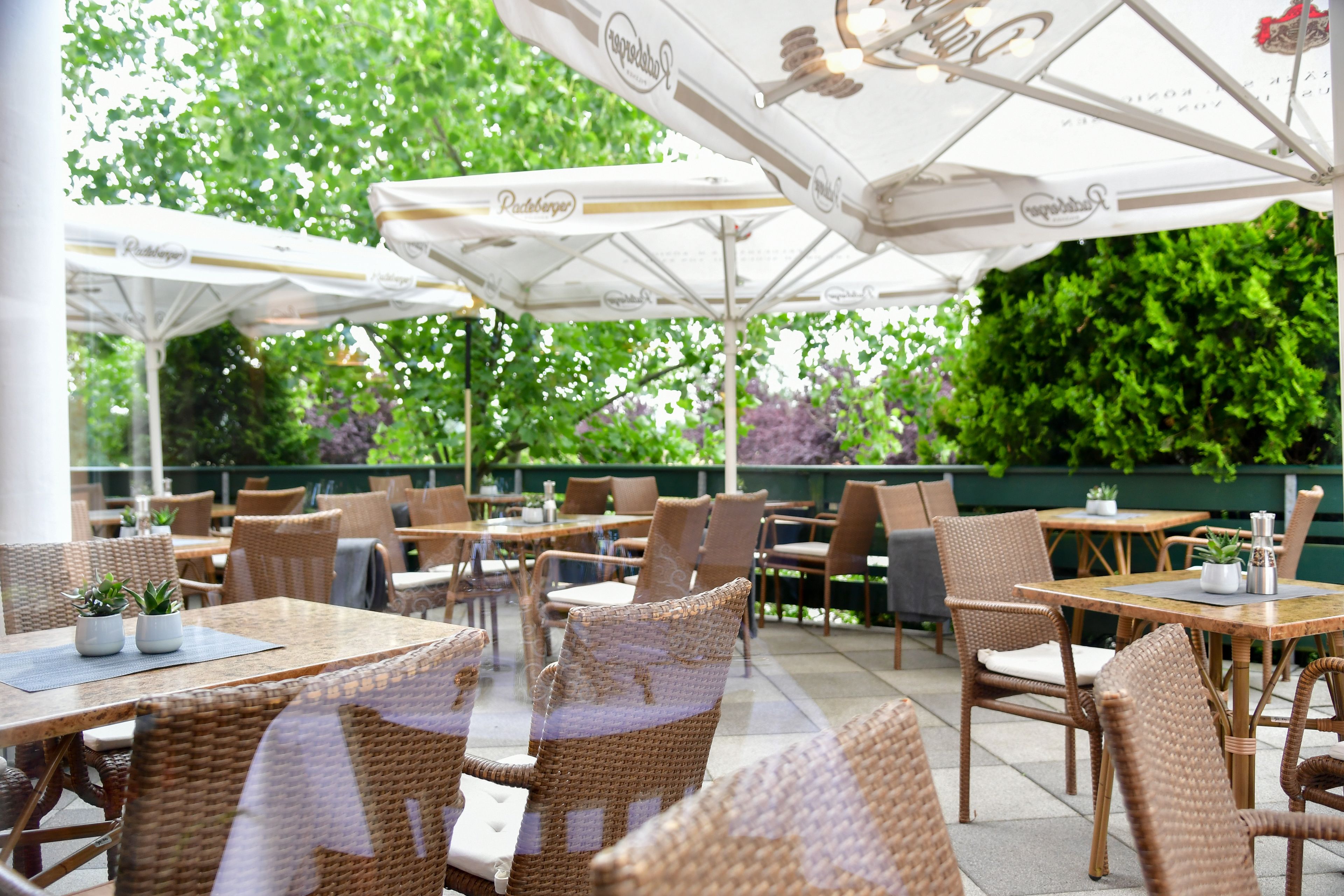 供應午餐及晚餐；地區菜