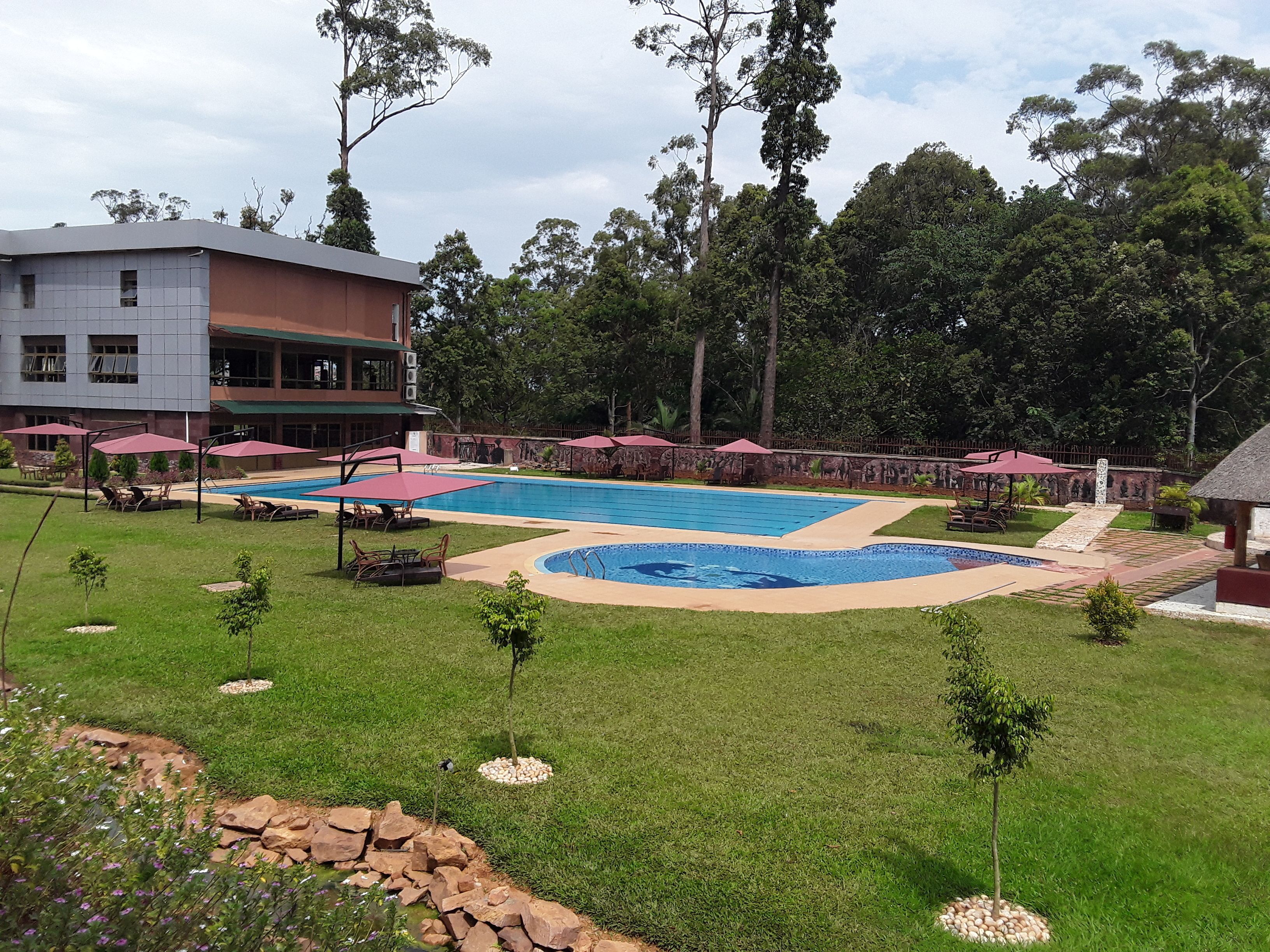 Una piscina circondata da un’area erbosa con alberi e un edificio sullo sfondo.