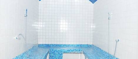 A swimming pool with blue mosaic tiles and a clear blue sky visible through the ceiling.