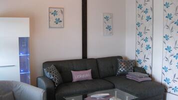 Télévision, lecteur de DVD, table de tennis de table