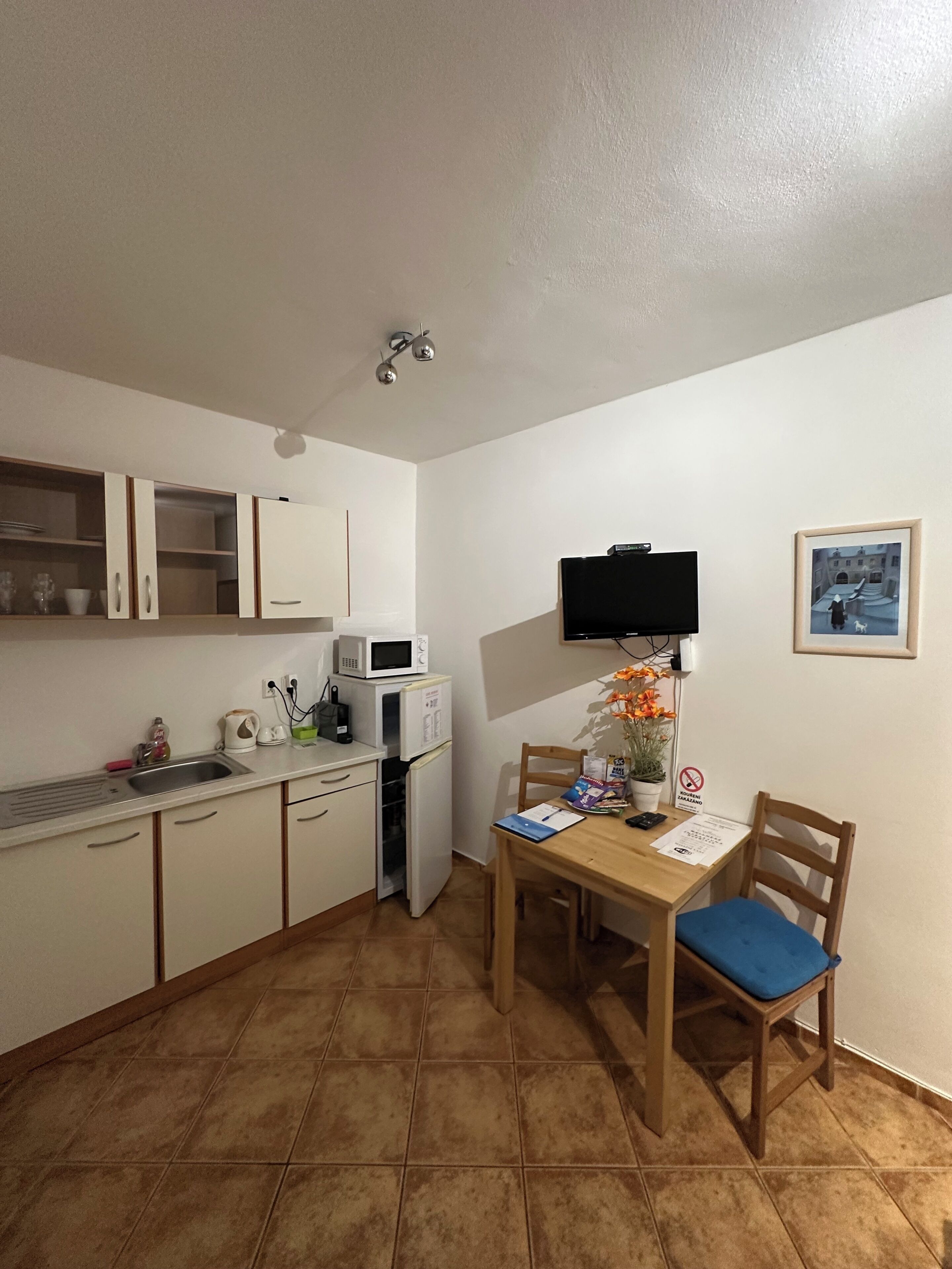 Studio | Private kitchen | Fridge, electric kettle, freezer
