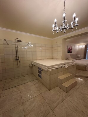 Minibar, iron/ironing board, cots/infant beds, free WiFi - Penzion 4 Dvory (Ceske Budejovice)