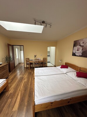 Apartment (3 Osoby) - Penzion 4 Dvory (Ceske Budejovice)