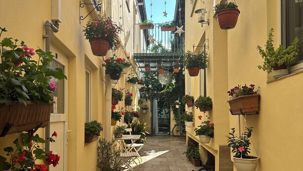 Un estrecho callejón con macetas colgantes y plantas en macetas, una rejilla metálica y un suelo de baldosas.
