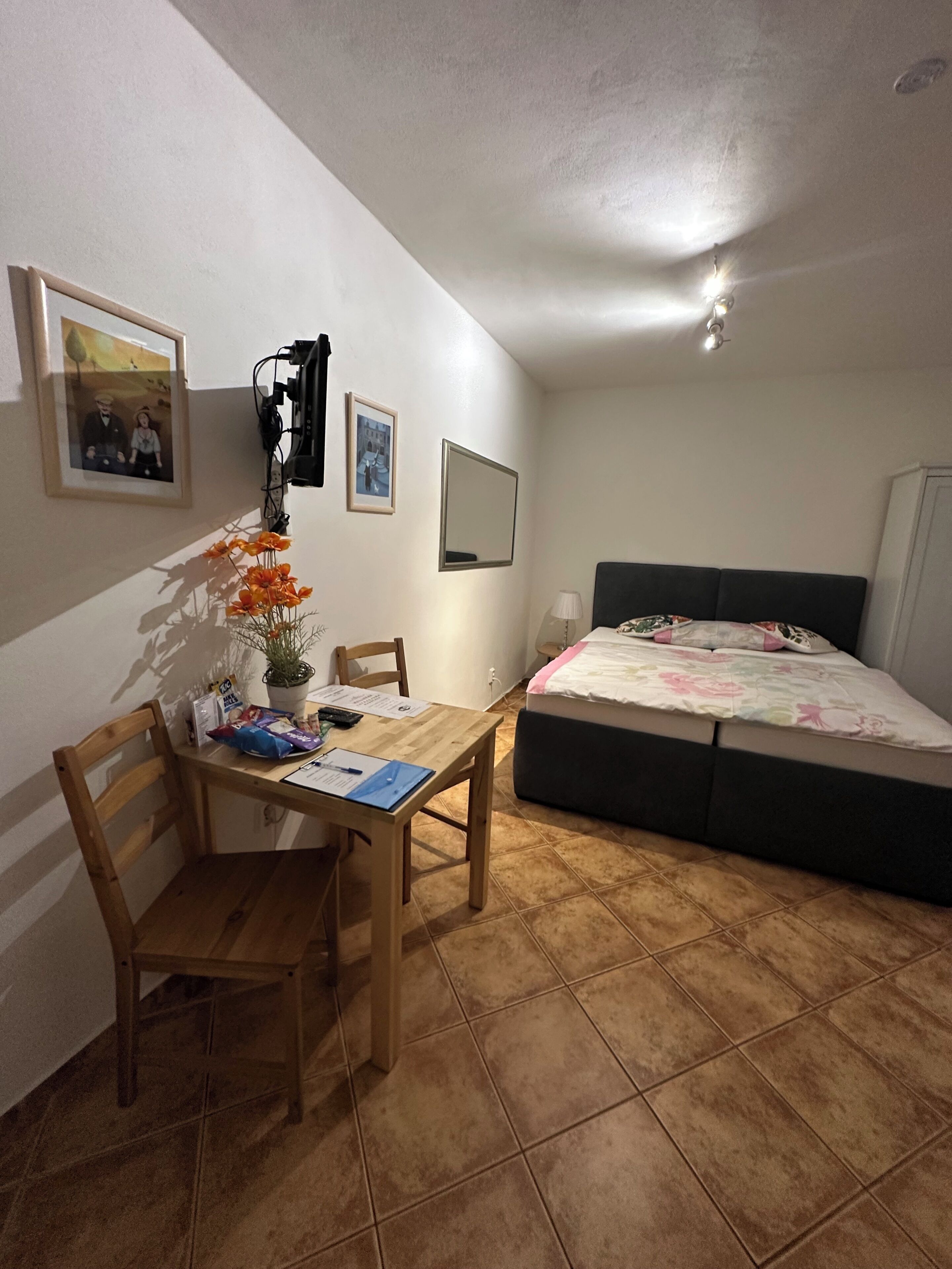 Una habitación pequeña y luminosa con una cama, un escritorio con silla y una planta en maceta.
