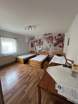 Apartment (3 Osoby) | Minibar, iron/ironing board, cots/infant beds, free WiFi - Penzion 4 Dvory (Ceske Budejovice)