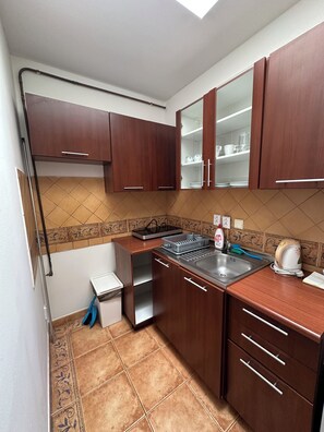 Apartment (3 Osoby) | Private kitchen | Fridge, electric kettle, freezer - Penzion 4 Dvory (Ceske Budejovice)