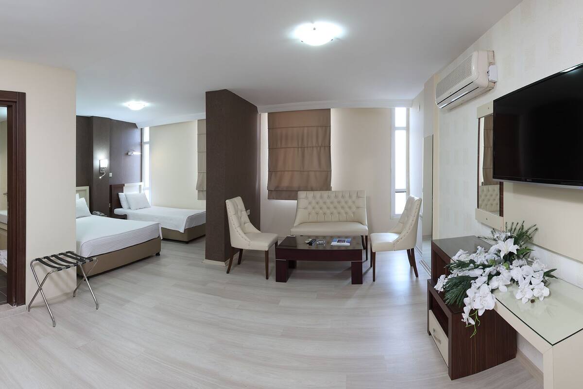 Habitación de hotel con una cama, dos sillones, una mesita de centro, un televisor y un espejo.