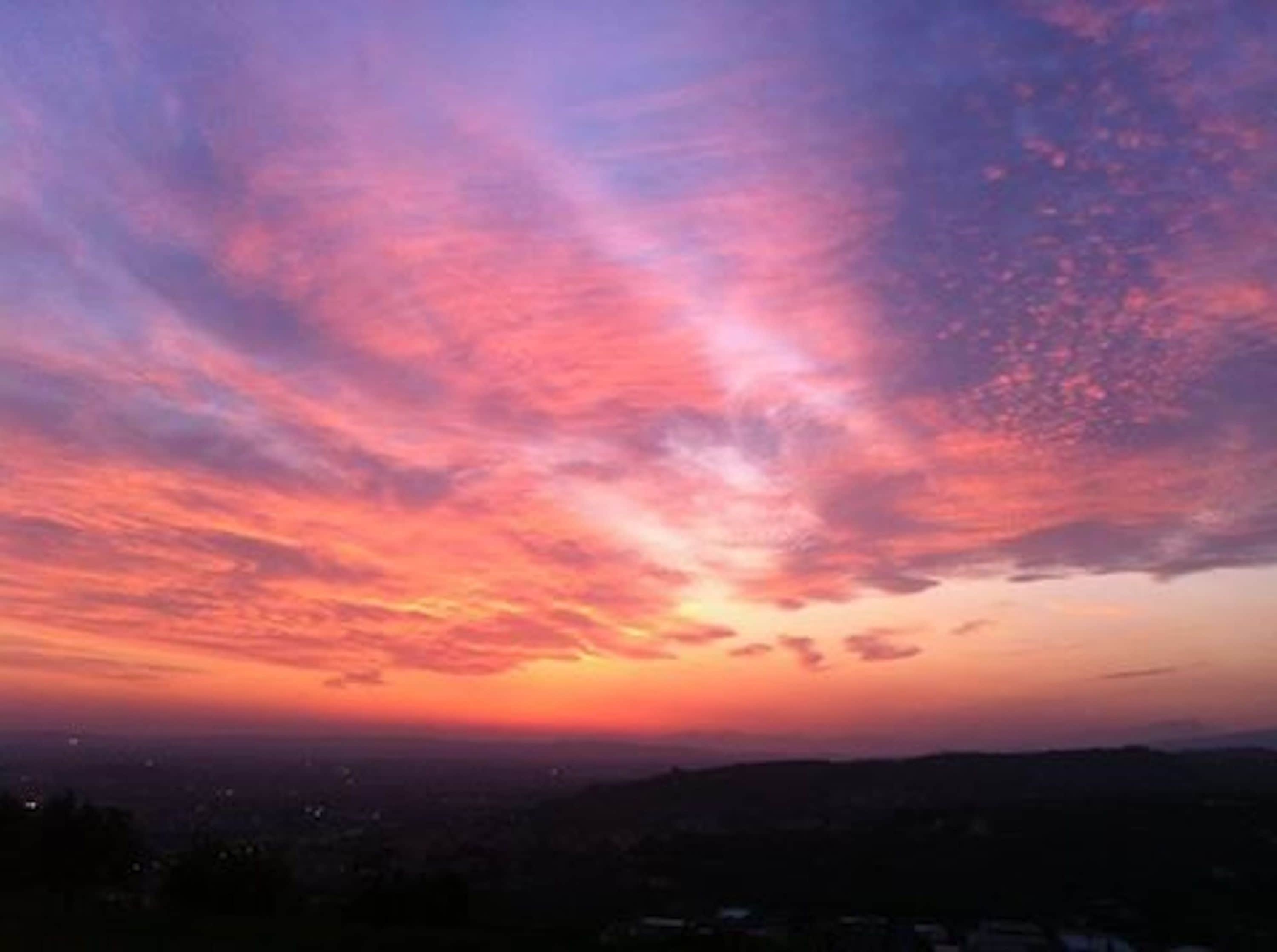 Foto - Agriturismo Il Pianetto