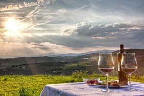 Una mesa con una botella y copas de vino, un cuenco de fresas, y un plato de pan y queso, con una vista panorámica de montañas al fondo.