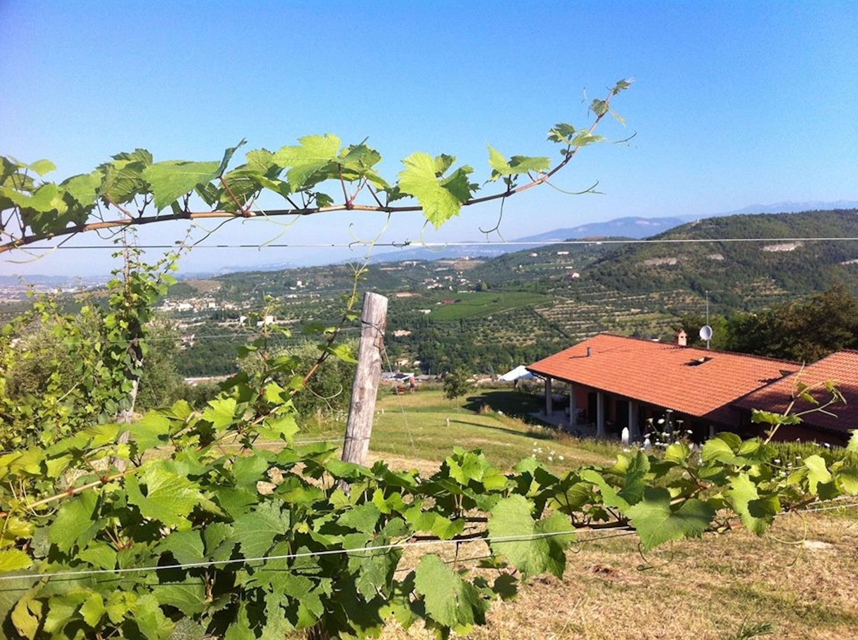 Foto - Agriturismo Il Pianetto
