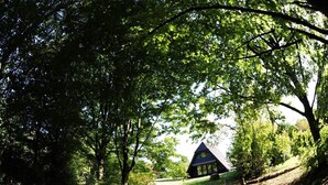 A cabin surrounded by dense trees, a dirt path leading to it, and a grassy area. - Holiday park- Robinson (Waldbrunn)