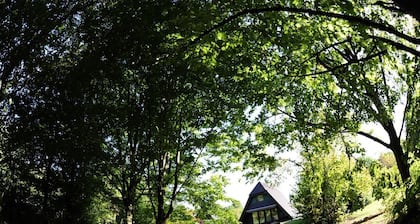 Holiday park- Robinson