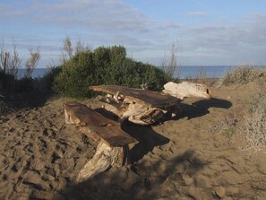 Playa en los alrededores 