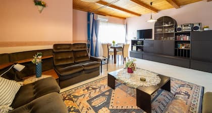 1 huoneen majoitus Zalakarosissa