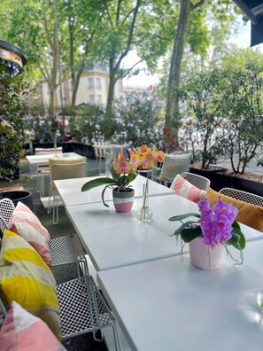 Terraza o patio