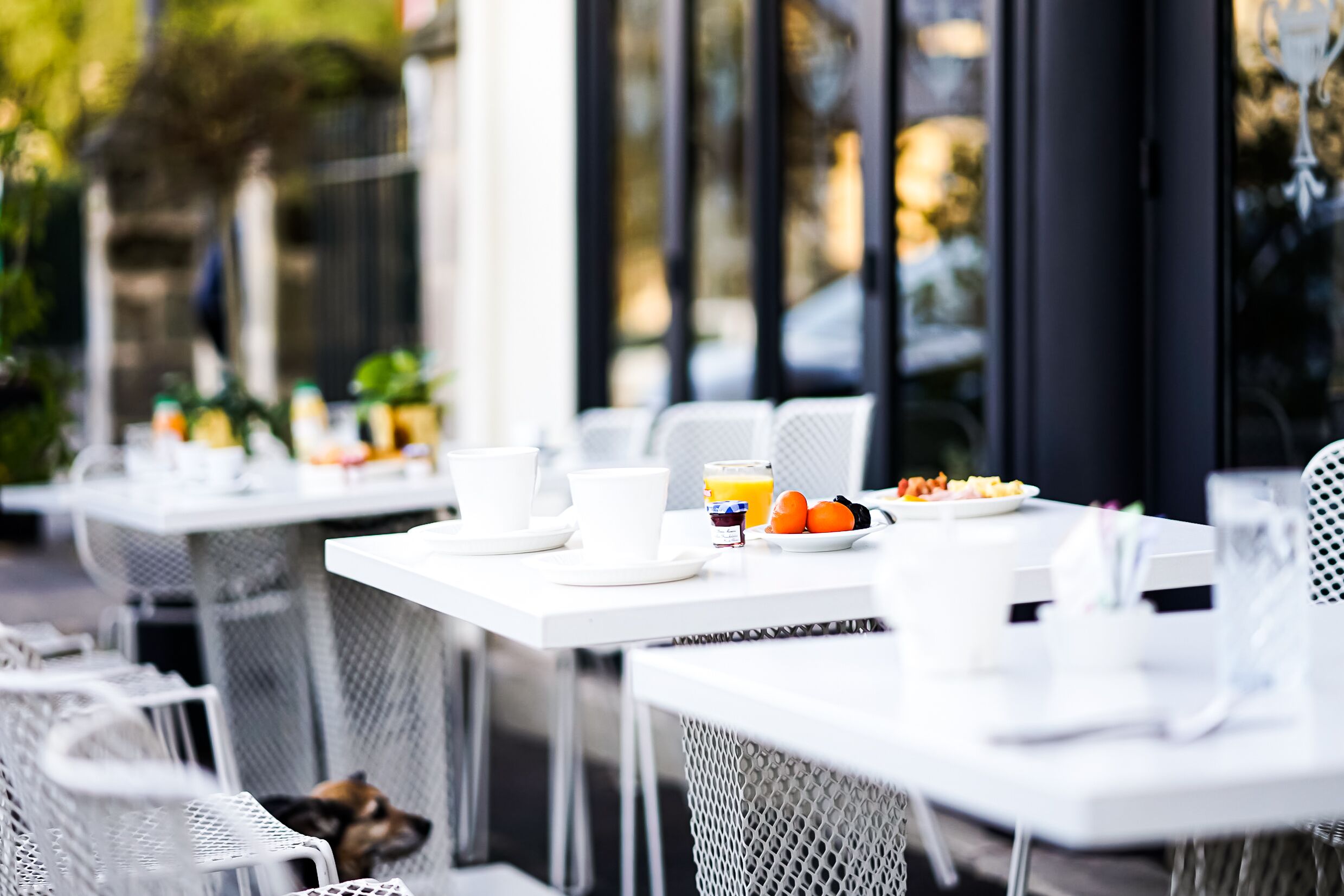 Foto - Hôtel Le Collonges TV connecté wifi Netflix