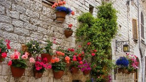 A stone building with multiple flower pots on the wall, some with flowers and some empty. - Appartamento- Murex - Studio Apartment, Sleeps 3 (Marina di Castagneto Carducci)