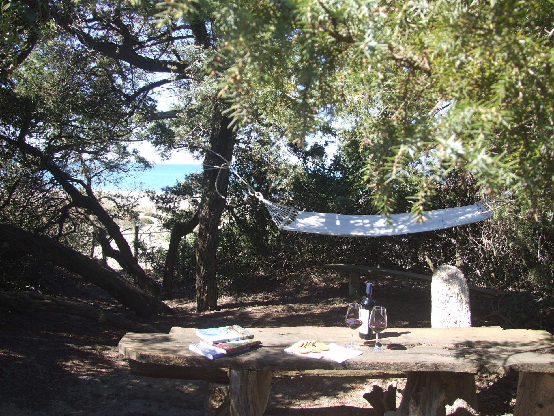 Une table de pique-nique en bois, agrémentée de livres, de verres de vin rouge et d’une bouteille, installée dans un espace boisé, avec un hamac et une vue sur la mer.