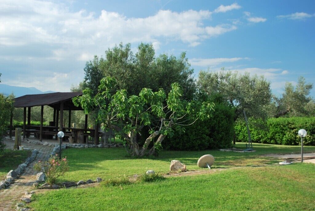 Parco della struttura