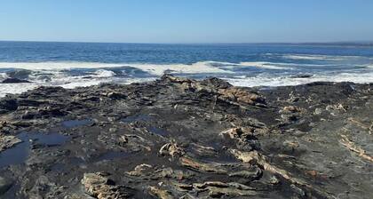 A Hotel Boutique Pelluhue