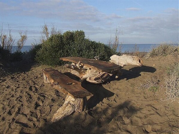 Beach nearby