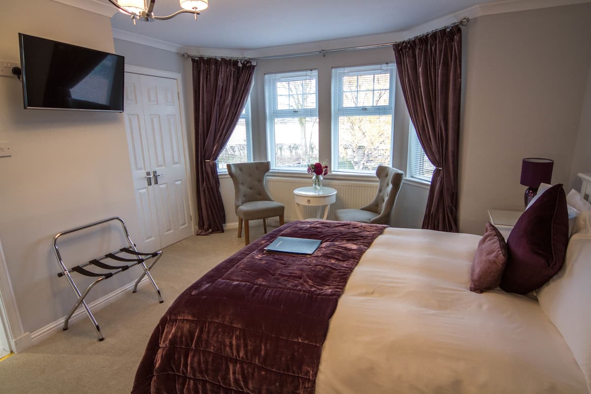 Room, 1 King Bed