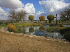 Lake
