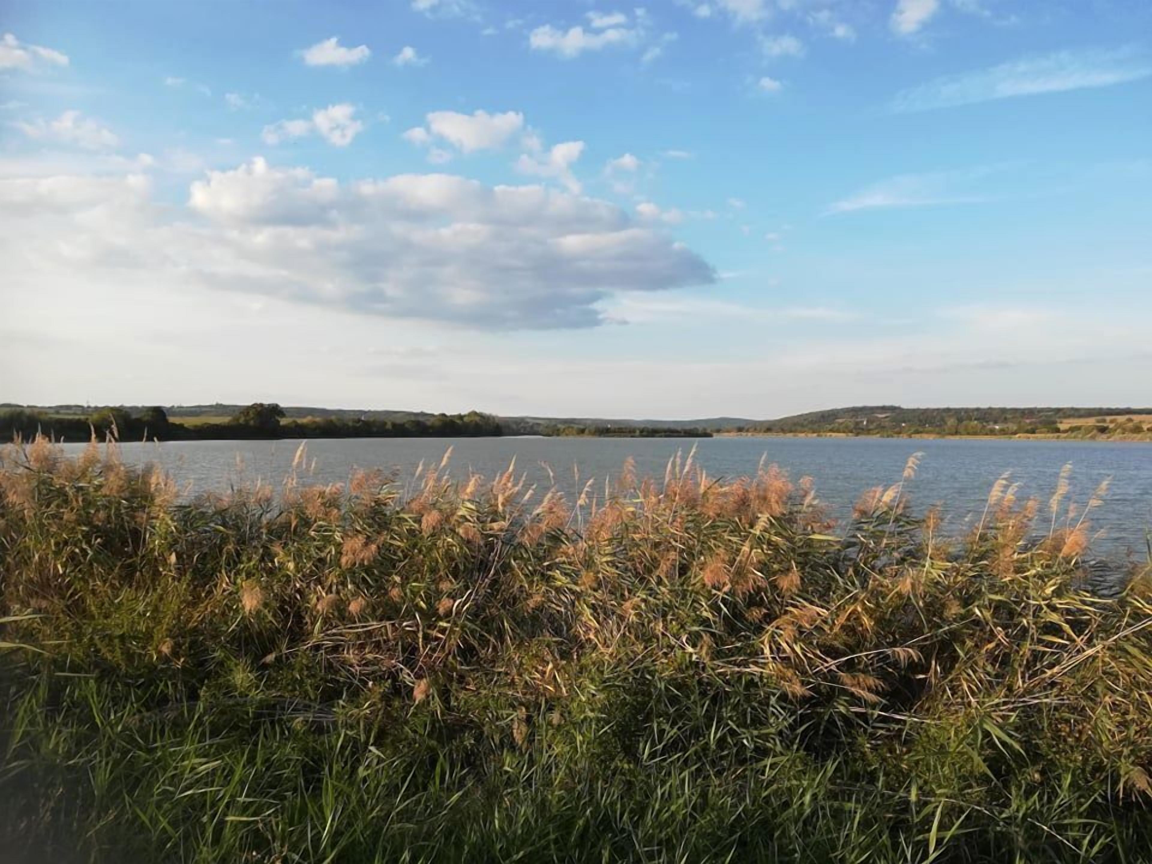 A lake with grassy banks and a distant hilly landscape under a partly cloudy sky.