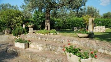 Parco della struttura