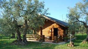 A rustic log cabin with a wooden porch, surrounded by olive trees.