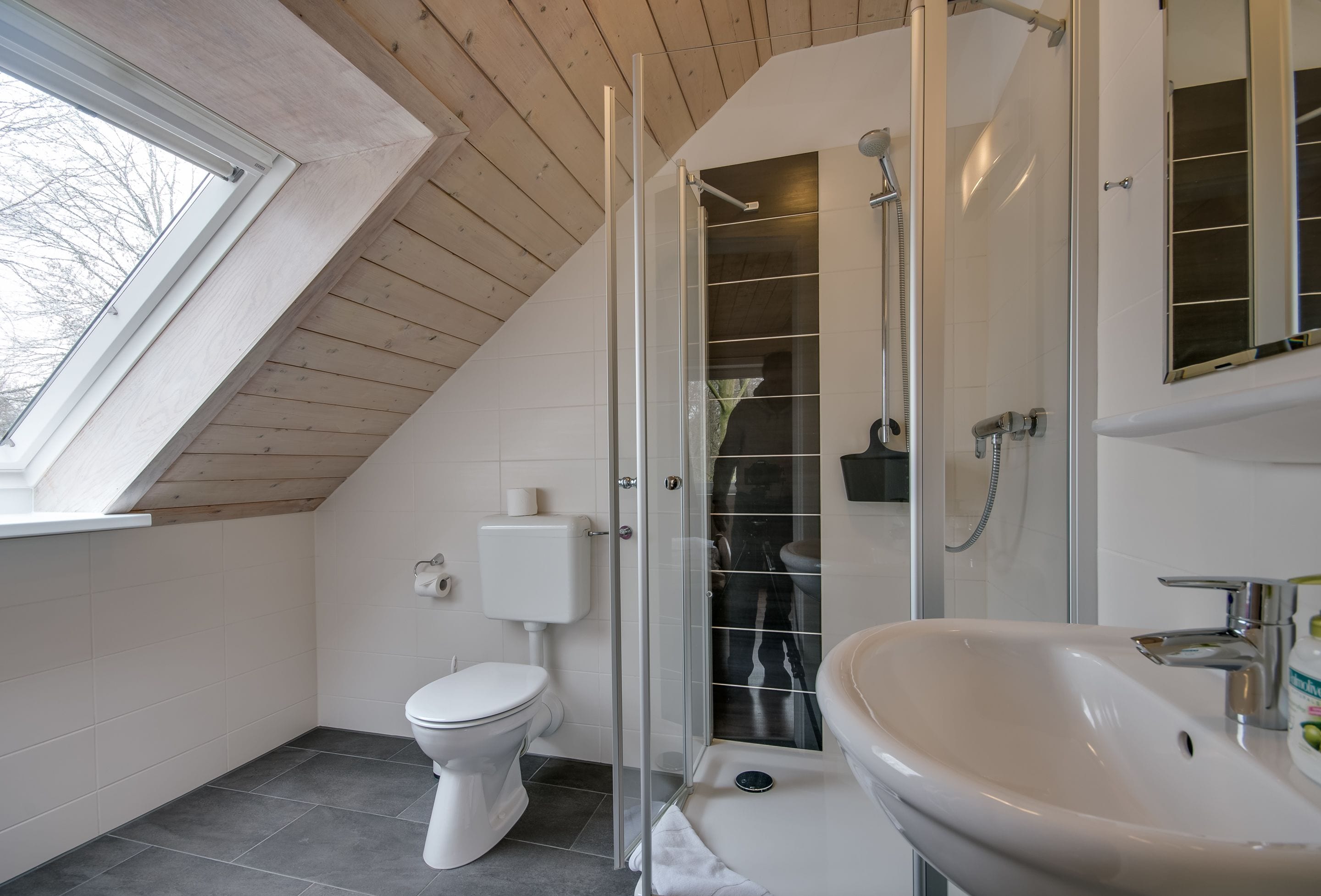 triple room | bathroom | shower, hair dryer, towels