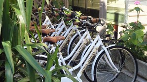 A row of white bicycles with brown leather seats and handlebars, parked in front of a building with a glass facade. - Hotel Athena (Pesaro)