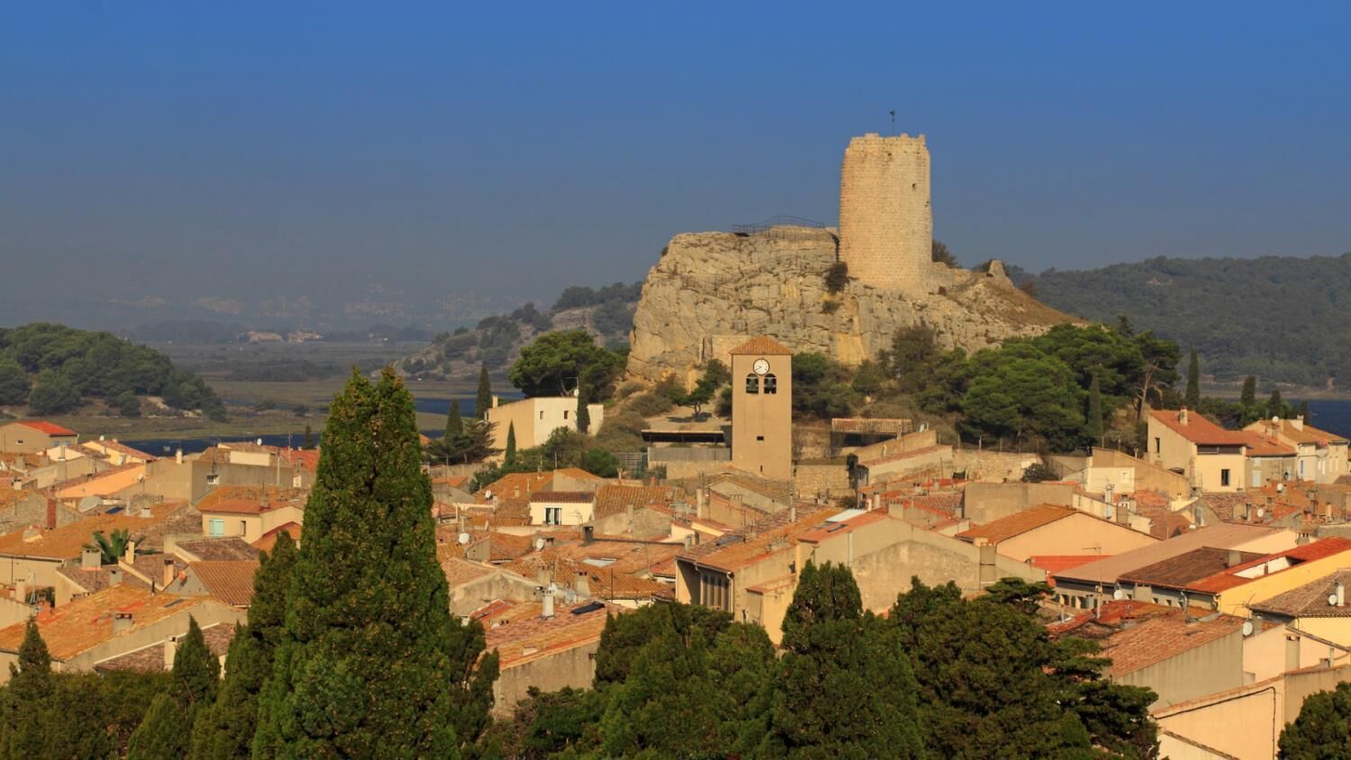 A historic town with a prominent castle on a hill, surrounded by residential buildings and greenery.