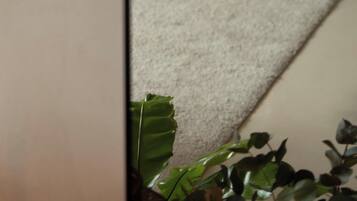 A room with a bed, a carpet, and a plant.