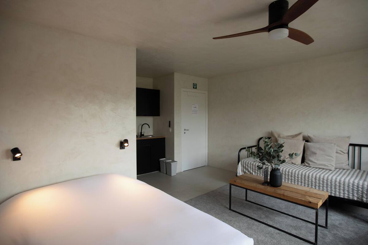 A compact room with a bed, a wooden table with a plant, a ceiling fan, a kitchenette, and a sofa with pillows.