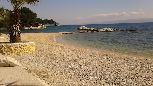 A pebble beach with a palm tree, clear water, and distant rocky outcrops. - Apartments and Rooms Djanovic (Split)