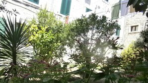 A courtyard with various plants and a palm tree. - Apartments and Rooms Djanovic (Split)
