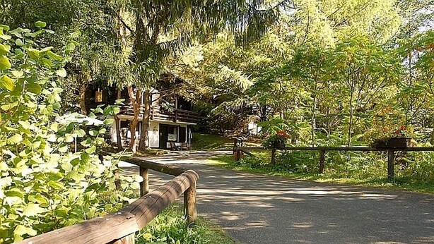 A paved pathway leading to a rustic wooden structure with a porch, surrounded by lush greenery and trees. - Haus 2 - Typ B (Blockhaus) (Schönecken)