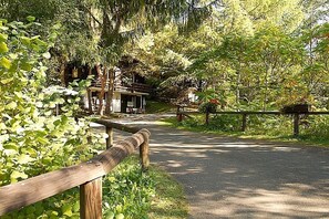 A paved pathway leading to a rustic wooden structure with a porch, surrounded by lush greenery and trees.