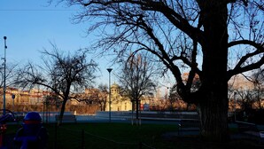 Un parc avec un grand arbre, des bancs et une vue lointaine sur un bâtiment historique.