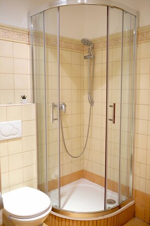A glass-enclosed shower stall with a handheld showerhead and a wall-mounted faucet.