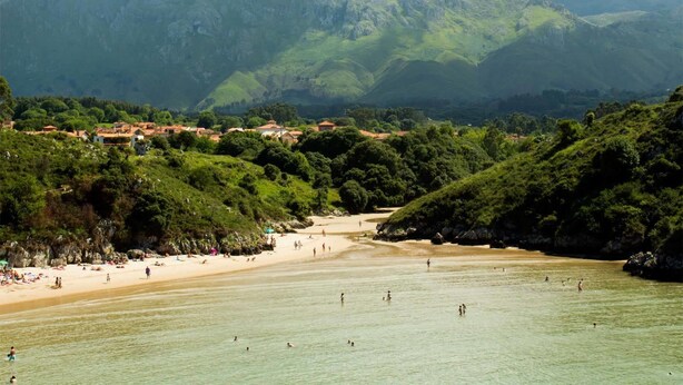 Een kuststrand met een zandstrand, omringd door weelderige groene heuvels en bergen op de achtergrond.