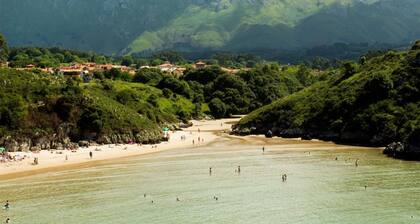 Hotel y Apartamentos El Camín