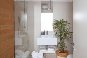 Shower, free toiletries, hair dryer, bidet